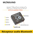 Mini récepteur audio Bluetooth 5.0 module 5V USB Jack 3.5 mm HiFi
