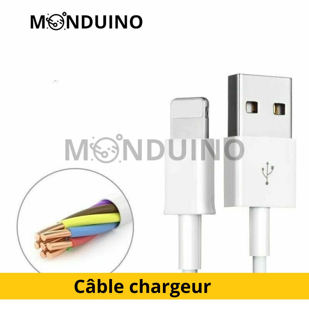 Câble chargeur compatible iPhone