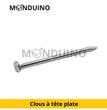Galvanized steel flat head nails 1.8x25 - 60g
