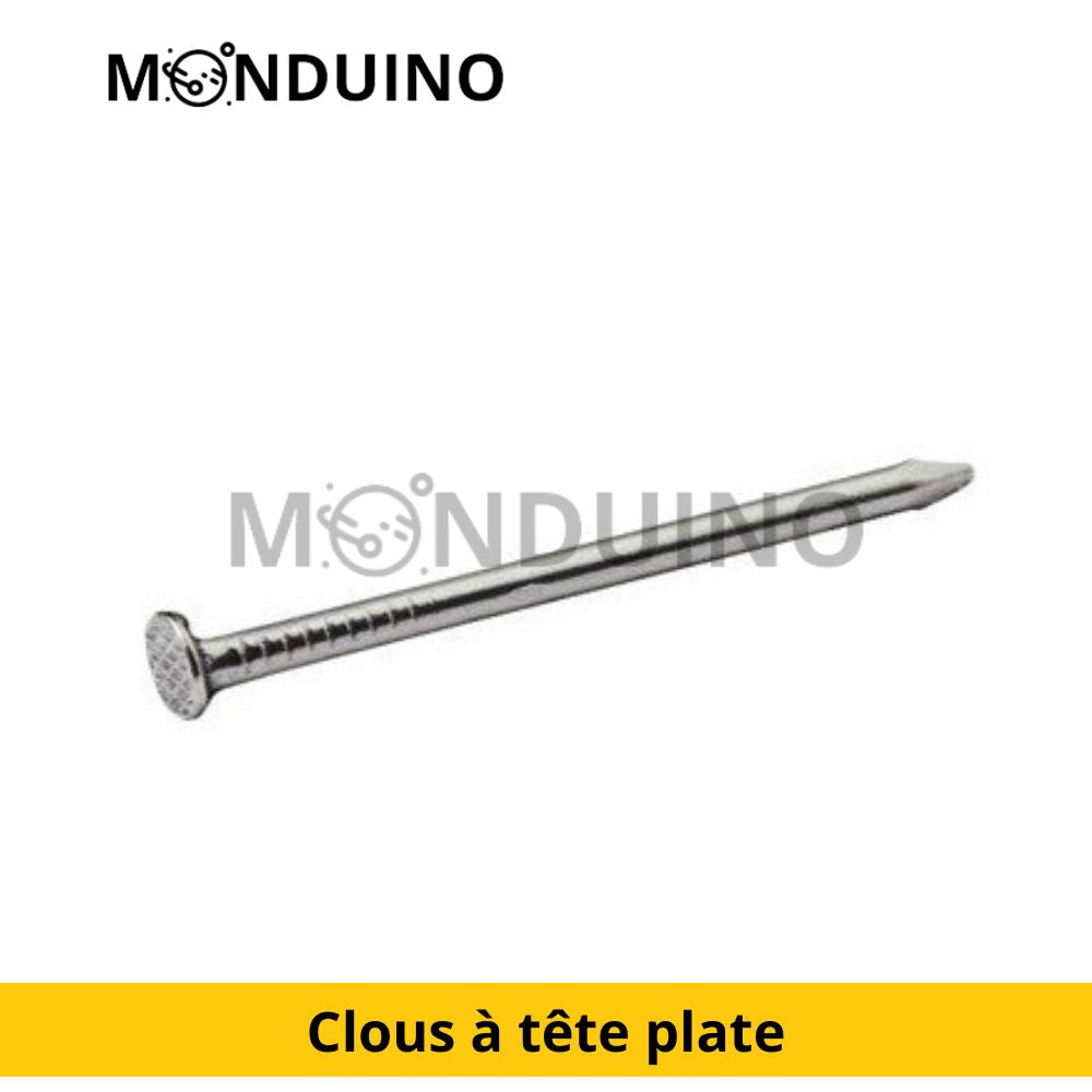 Galvanized steel flat head nails 1.8x25 - 60g