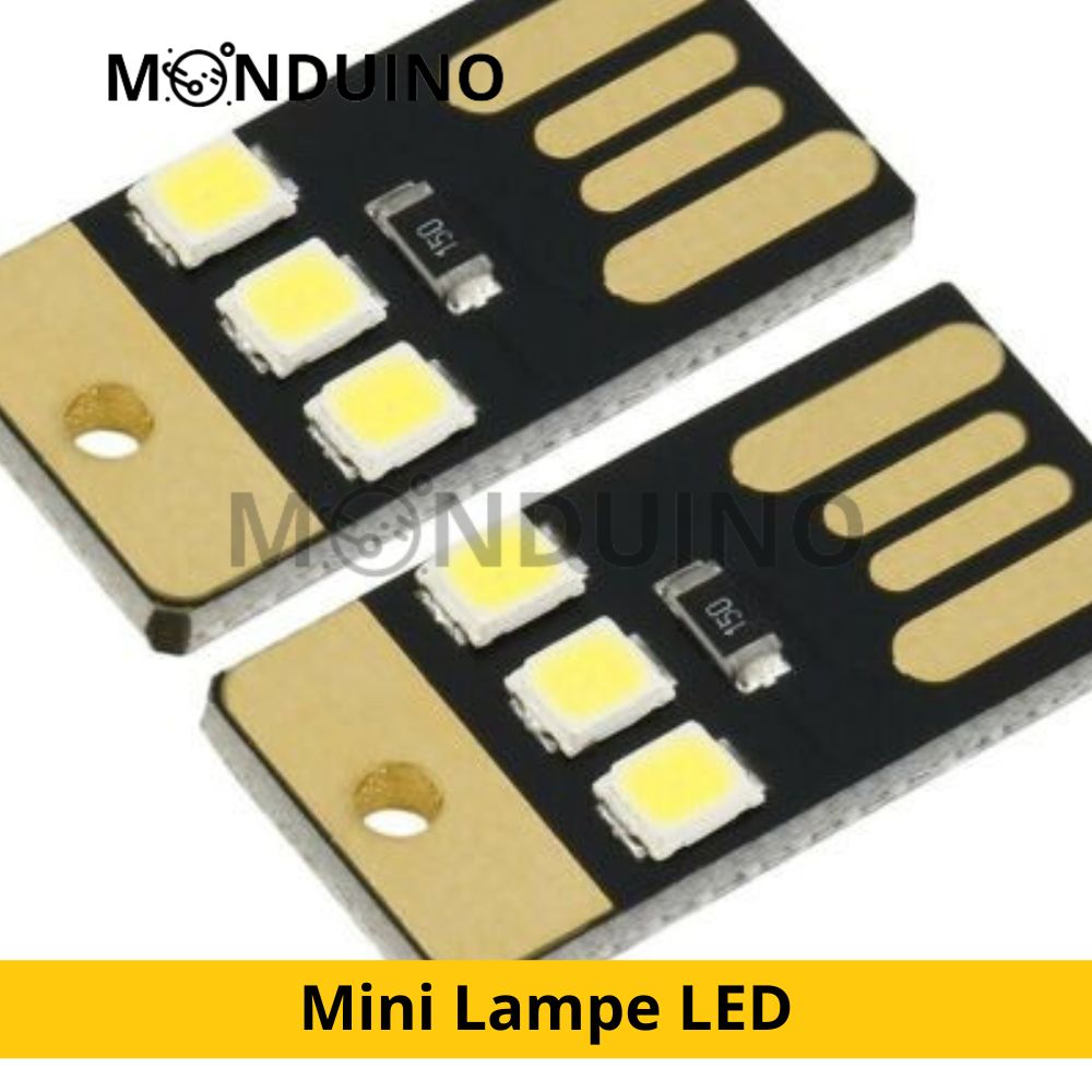 Lot de 5 Mini Lampe LED format clé USB porte clé Lumière blanche