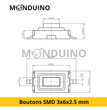 Lot de 10 Boutons Tactiles SMD 3×6×2.5 mm – Interrupteur Momentané 2 Pins – Micro Switch
