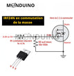 IRFZ44N Transistor MOSFET-N 55V 49A TO-220 - Par lots de 1 à 50 pcs